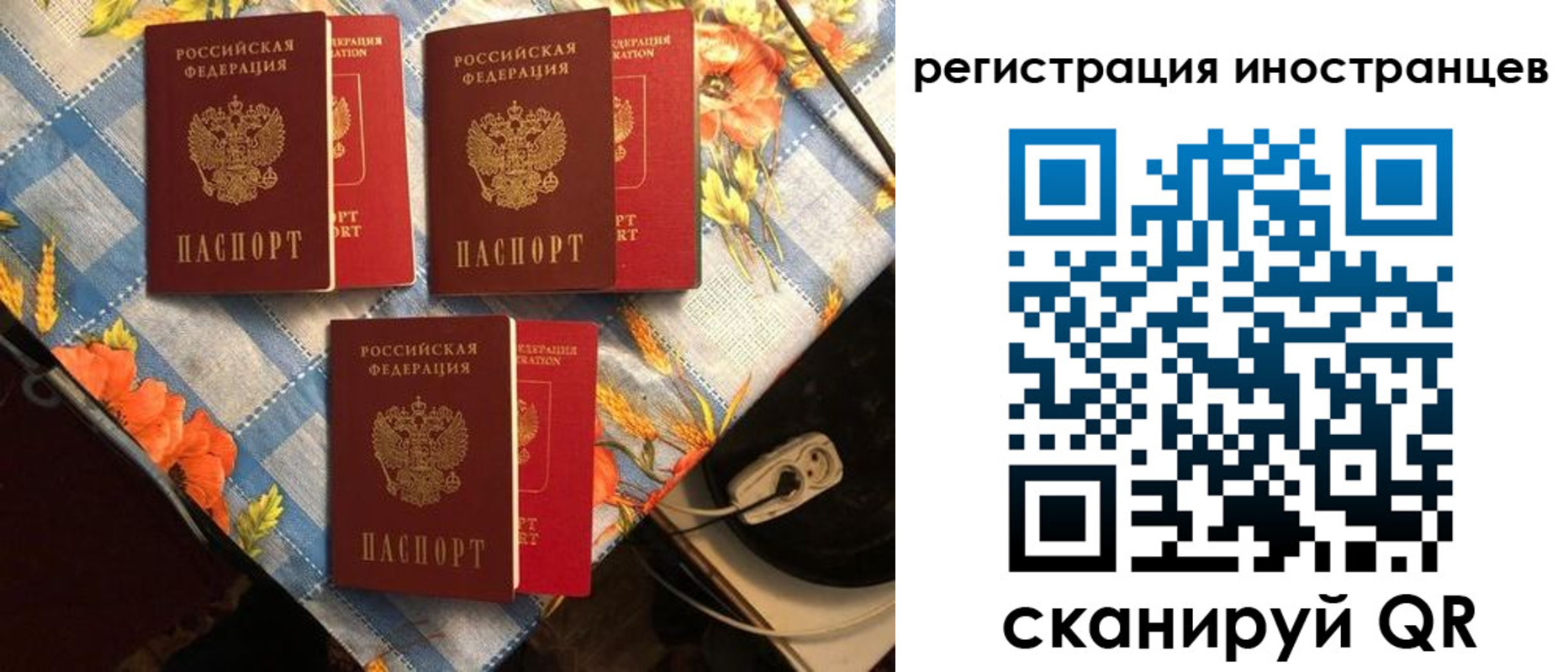 прописка поиск в Сосенском